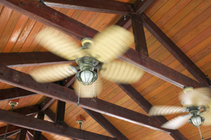 Ceiling fan